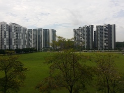 Blk 134 Edgedale Plains (Punggol), HDB 4 Rooms #170314372
